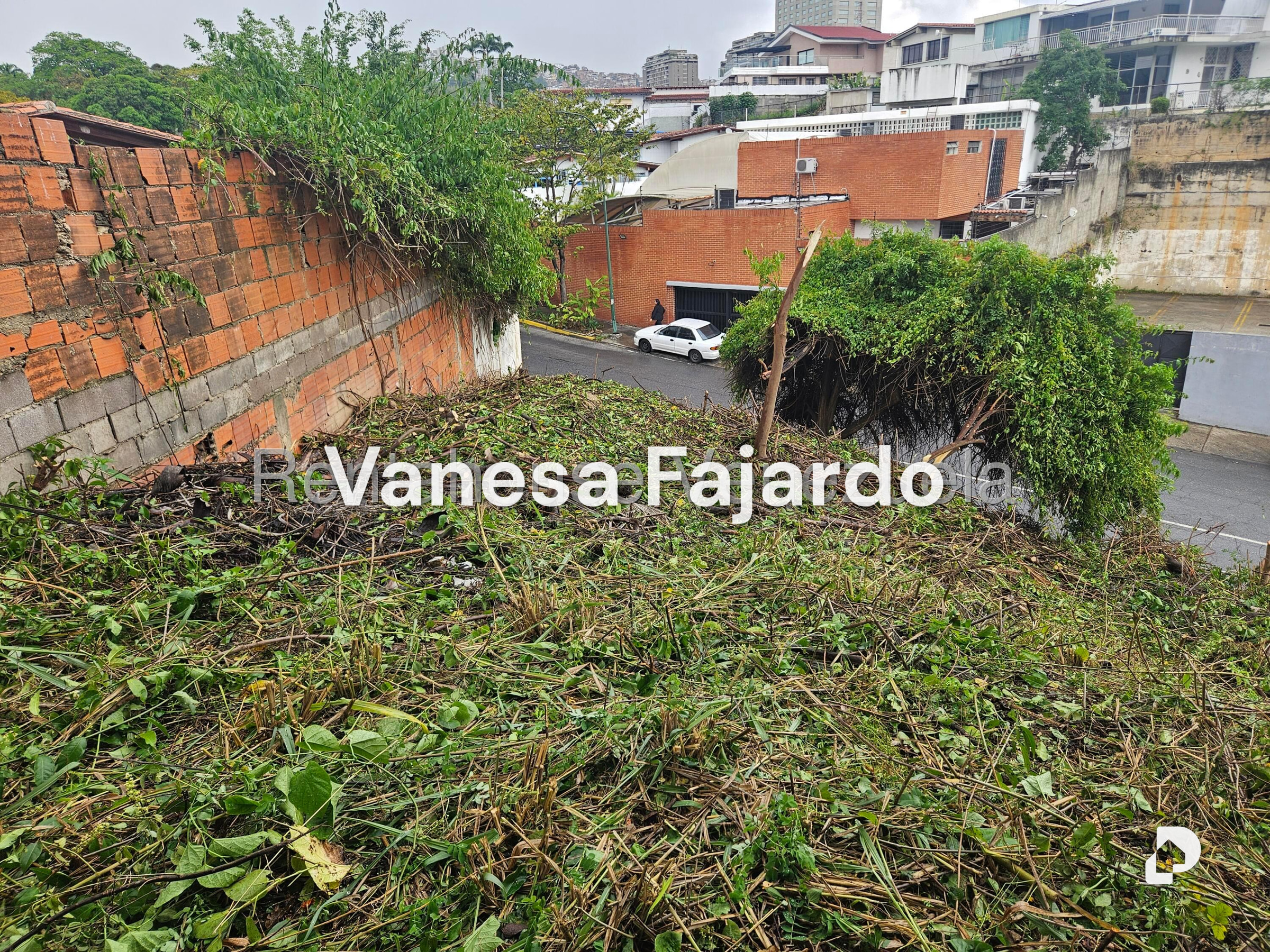 Terreno en Prados del Este, Caracas – 19