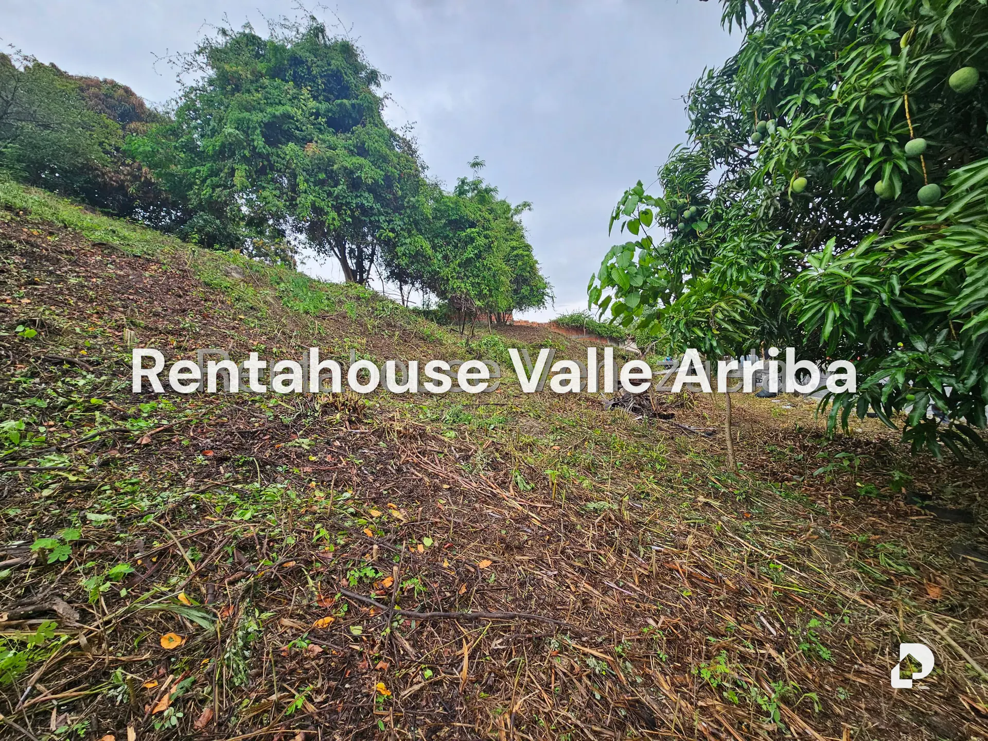 Terreno en Prados del Este, Caracas – 7
