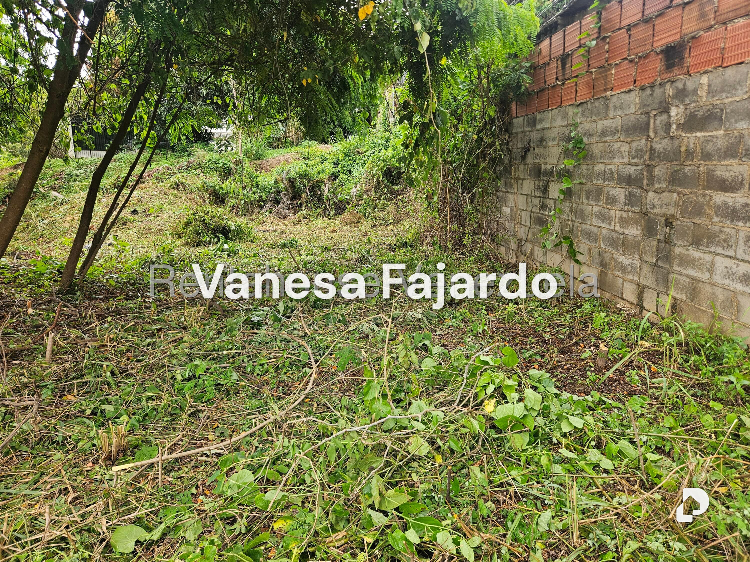 Terreno en Prados del Este, Caracas – 20