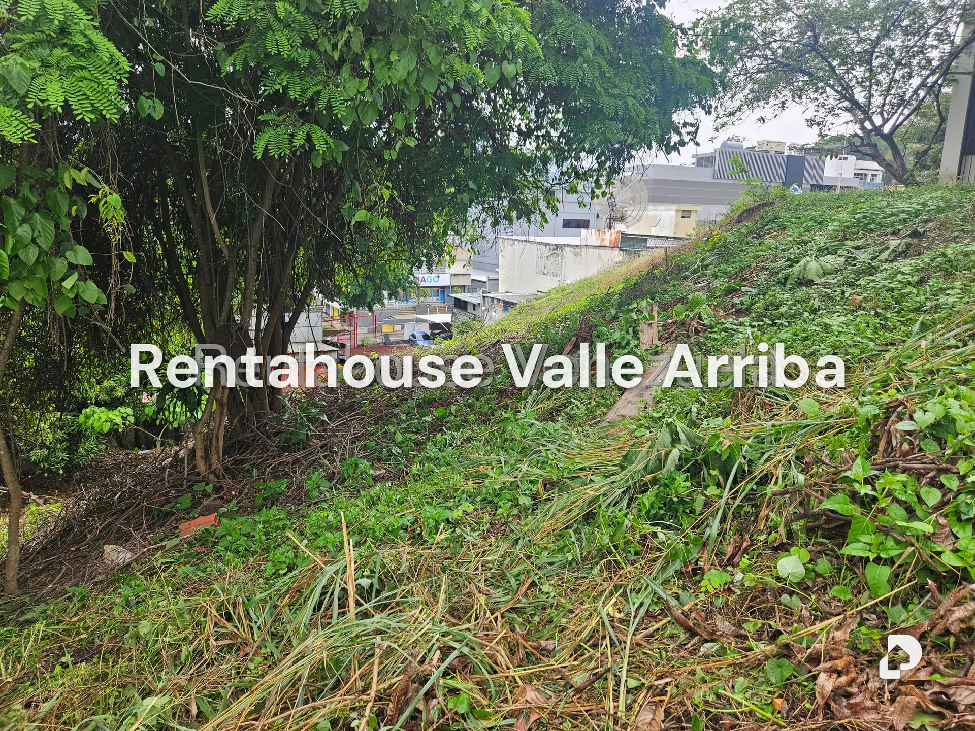 Terreno en Prados del Este, Caracas – 29
