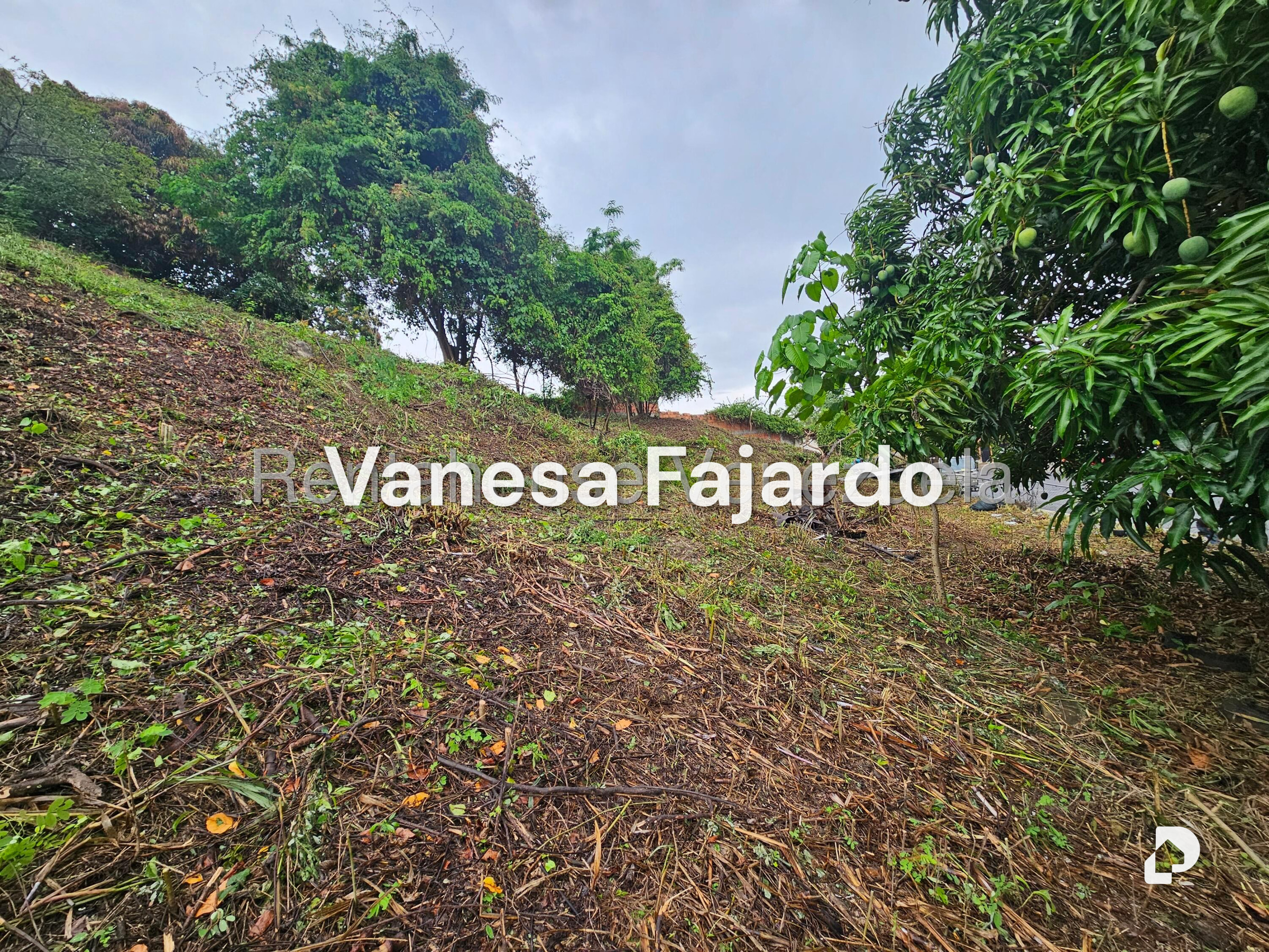 Terreno en Prados del Este, Caracas – 7