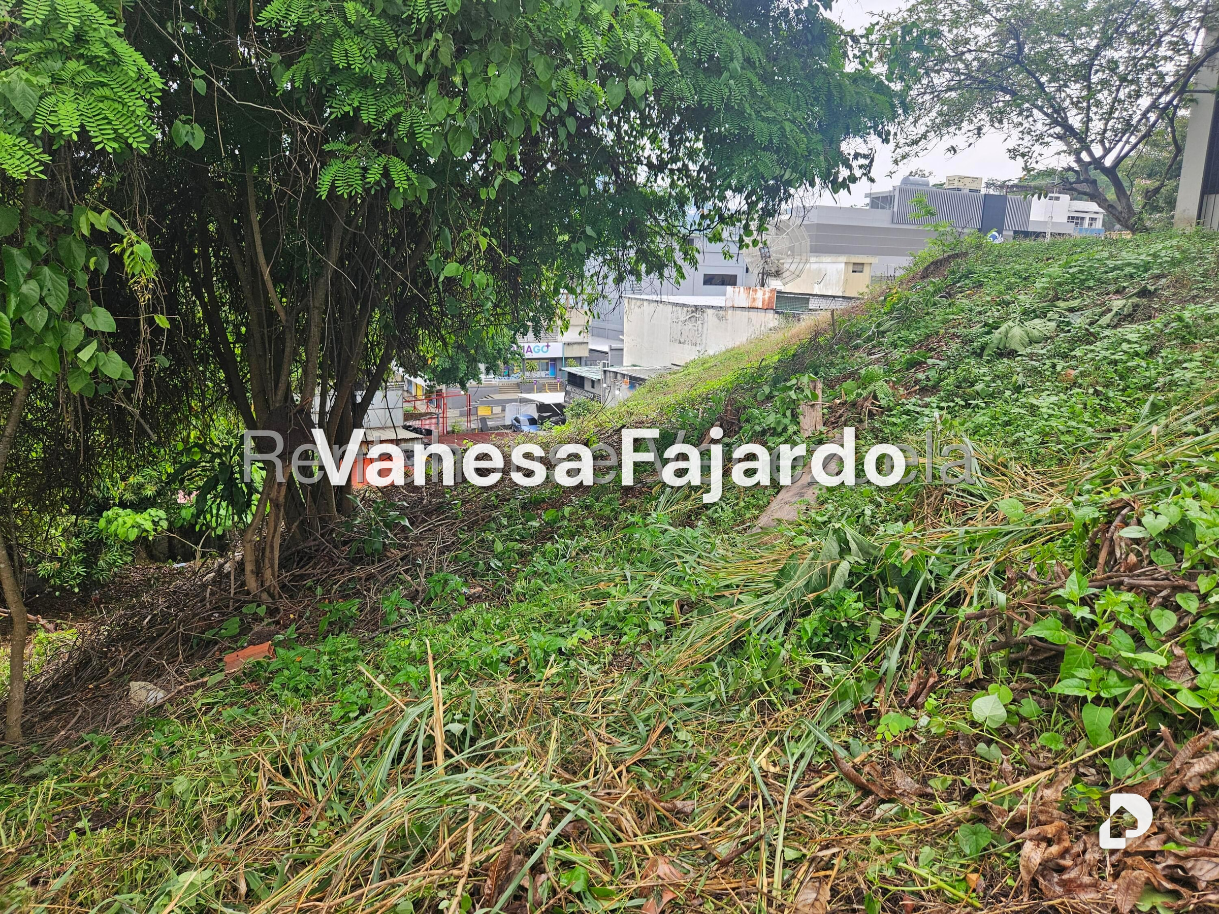 Terreno en Prados del Este, Caracas – 29