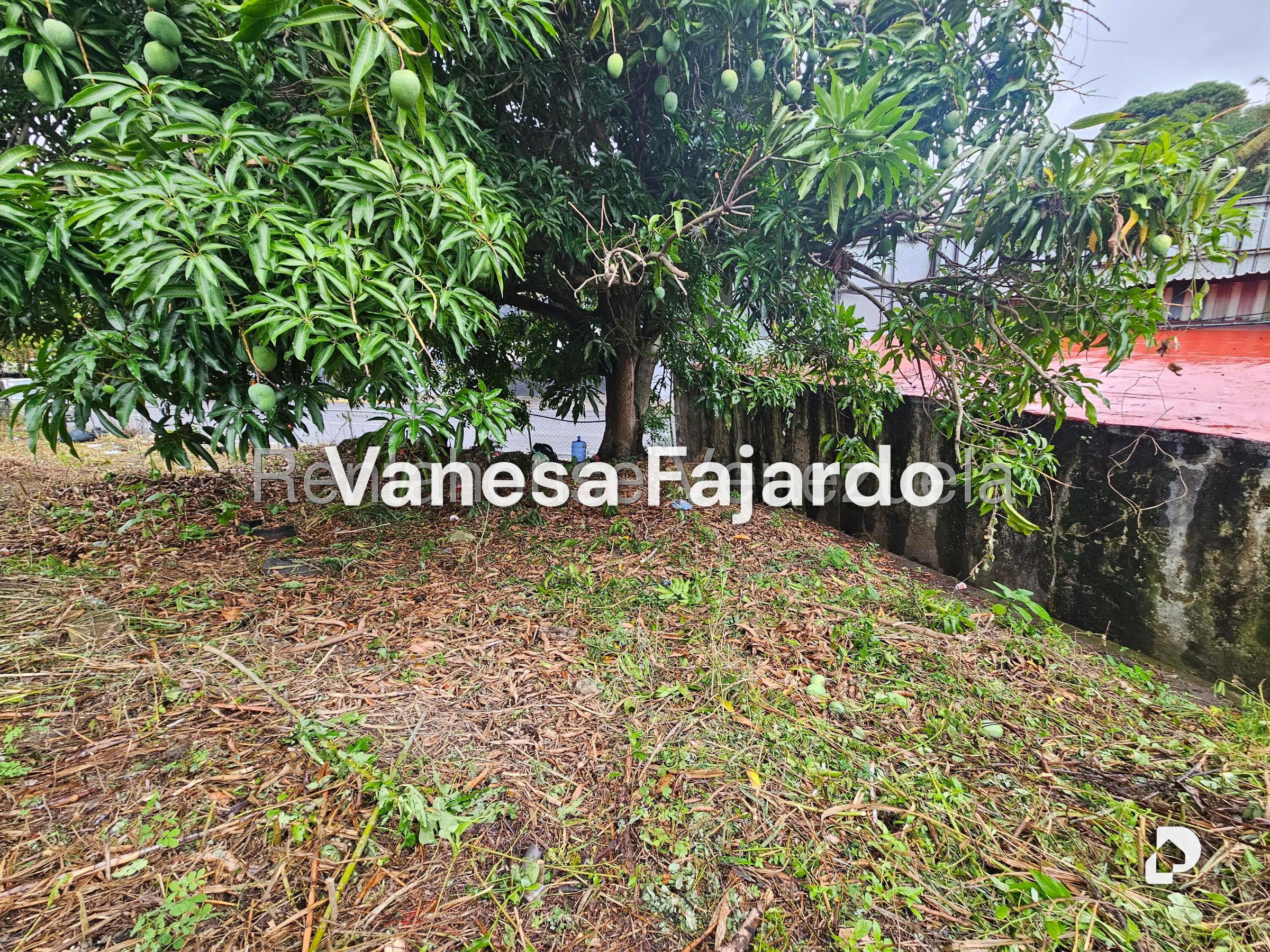 Terreno en Prados del Este, Caracas – 6