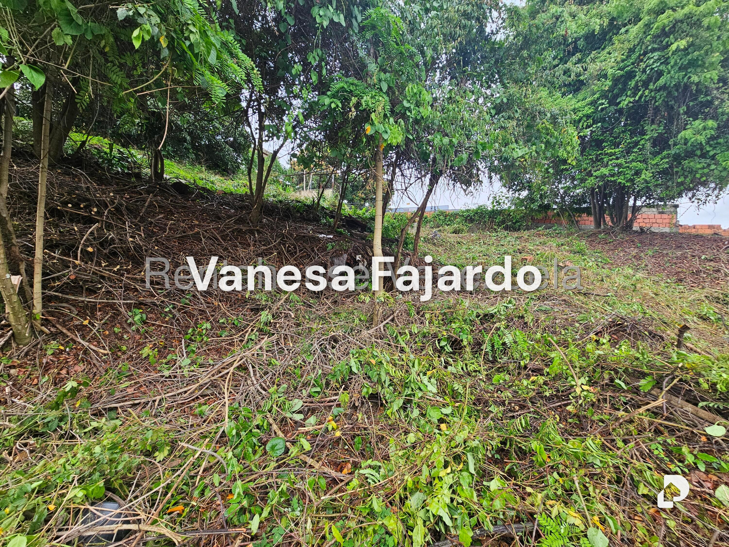 Terreno en Prados del Este, Caracas – 14