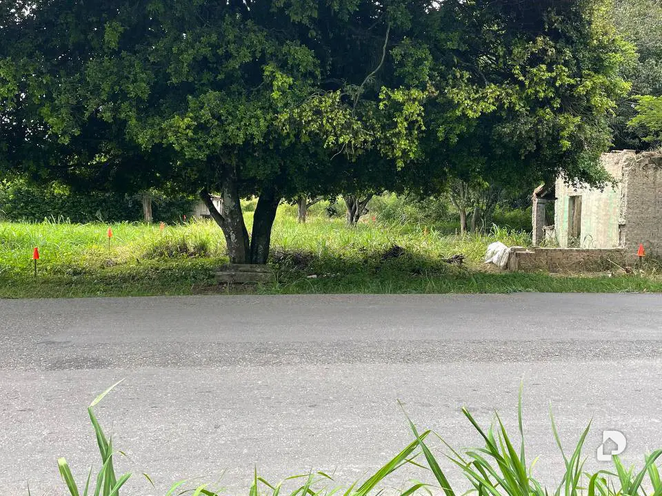 Terreno en Montalbán – 6