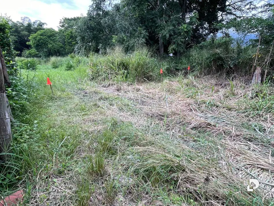 Terreno en Montalbán – 13