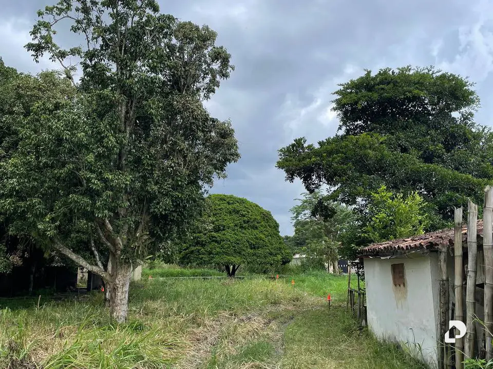 Terreno en Montalbán – 16