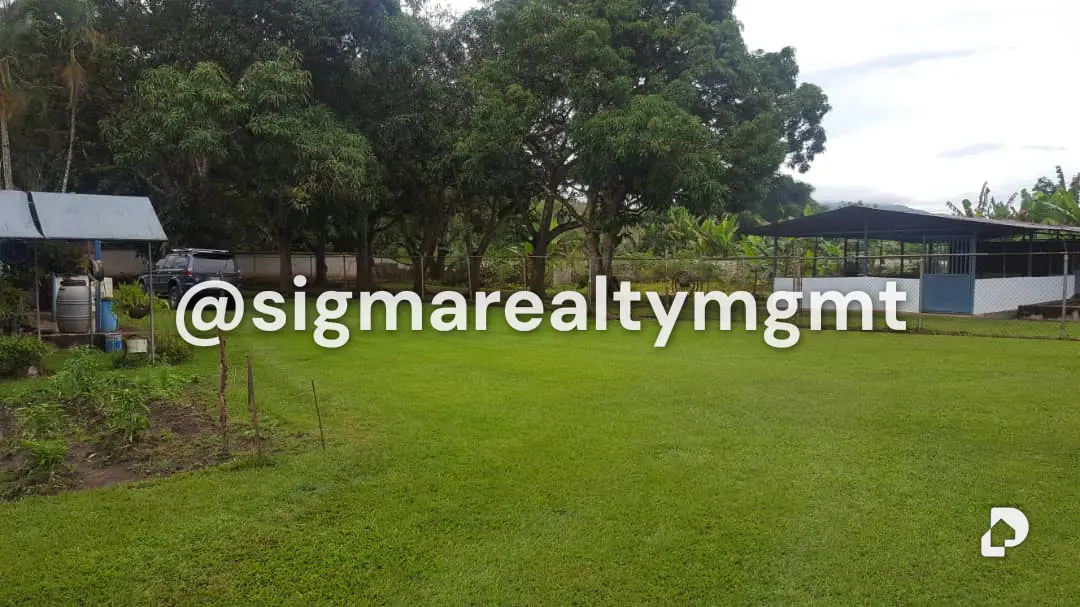 Finca en Bejuma – 14