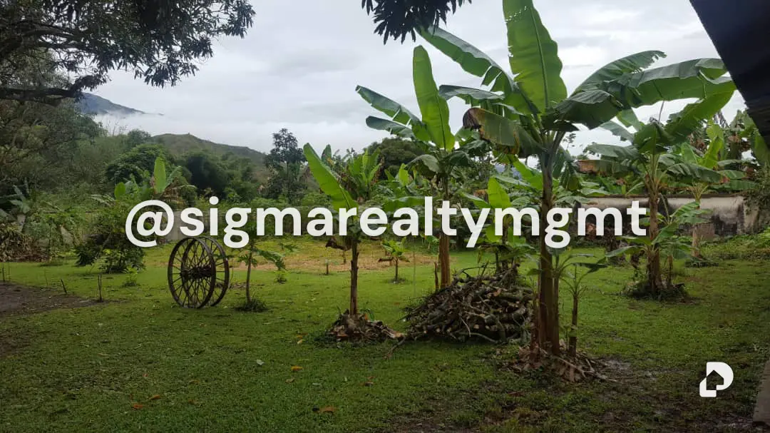 Finca en Bejuma – 9
