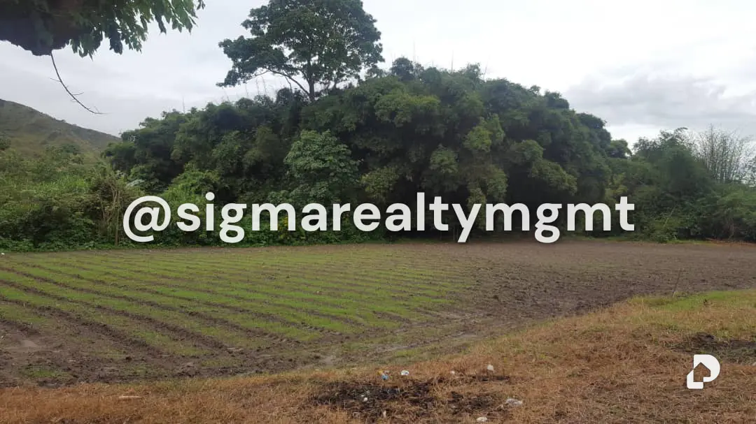 Finca en Bejuma – 19