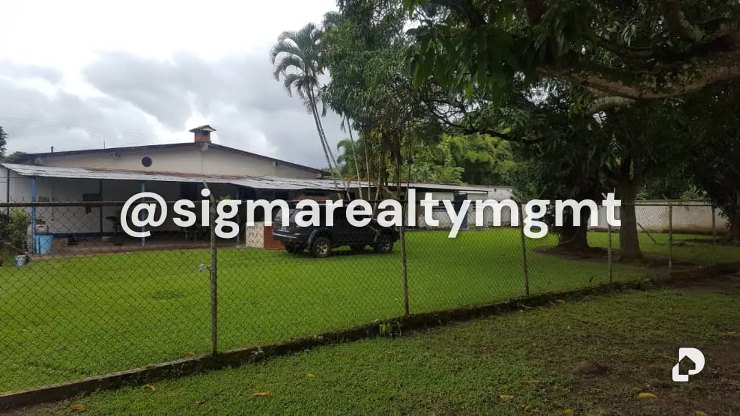 Finca en Bejuma – 18