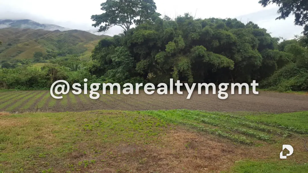 Finca en Bejuma – 12