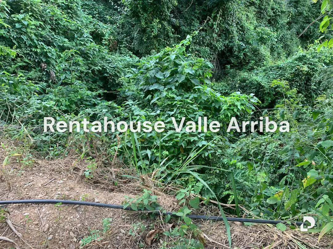 Terreno en Caicaguana, Caracas – 18