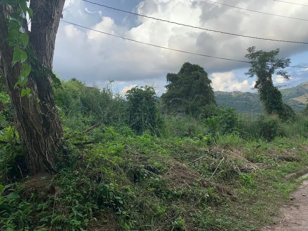 Terreno en Caicaguana, Caracas - 1