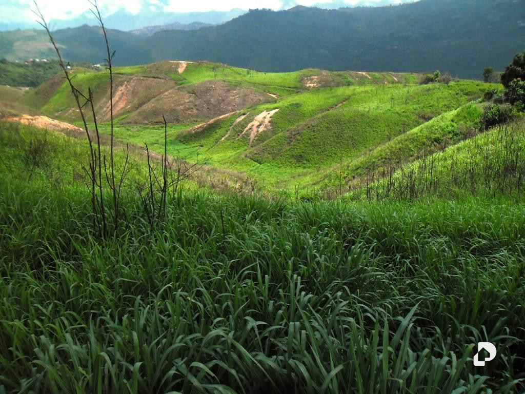 Land in El Hatillo, Caracas – 11