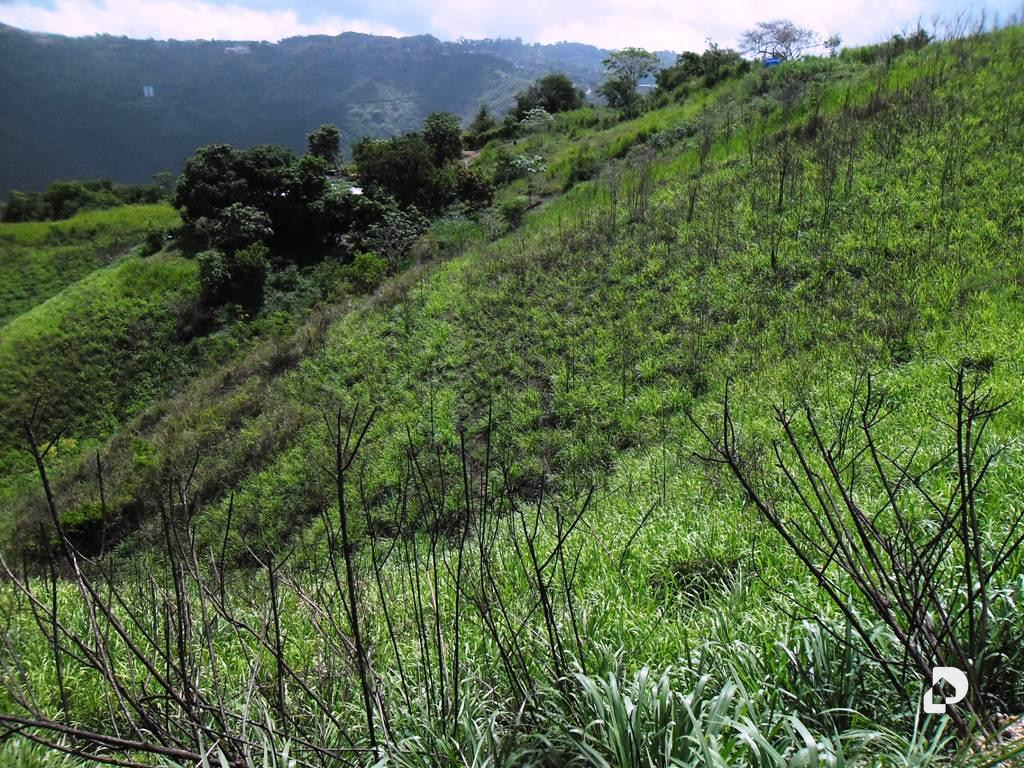 Land in El Hatillo, Caracas – 6