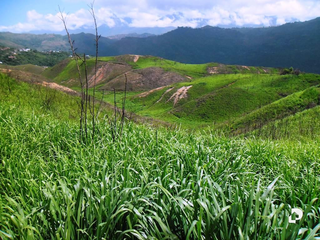 Land in El Hatillo, Caracas – 8