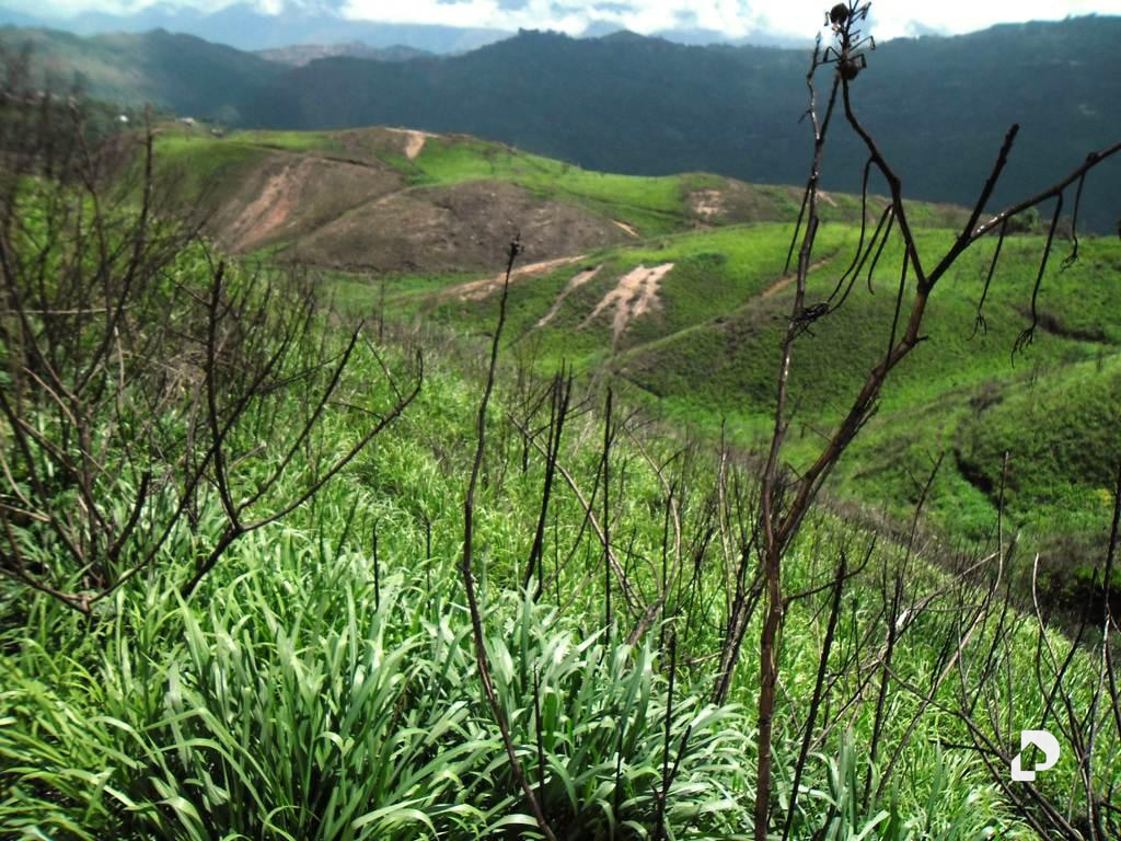 Land in El Hatillo, Caracas – 5