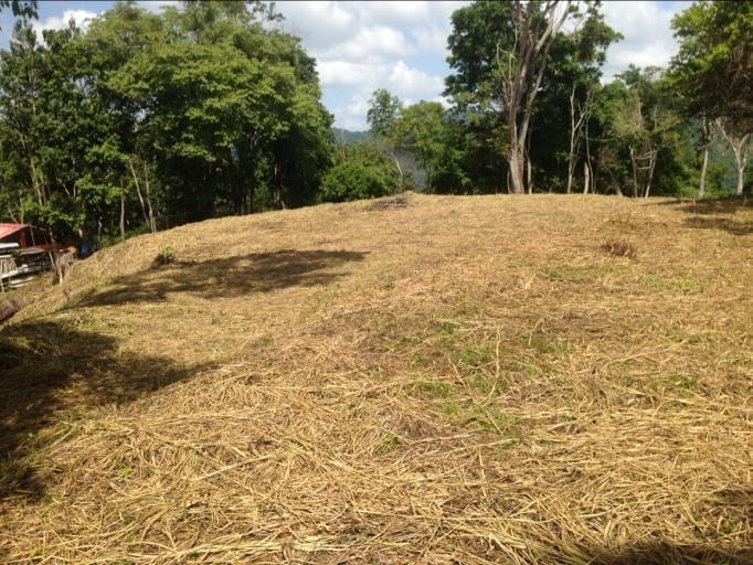 Terreno en Sabaneta, Caracas - 1