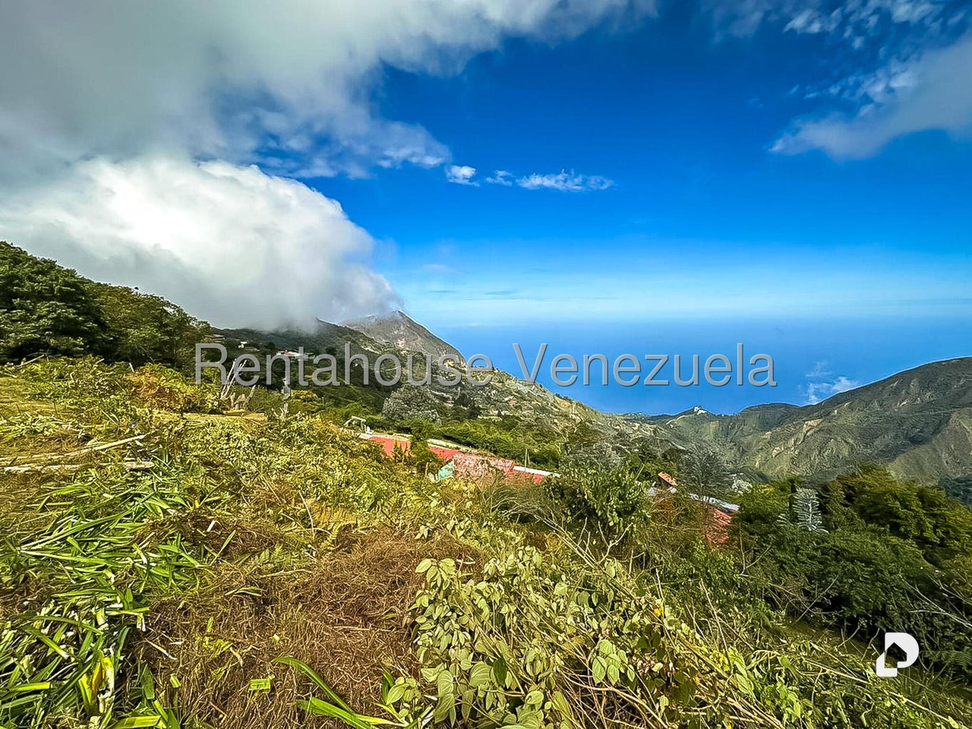 Local comercial en Galipan, Caracas – 4