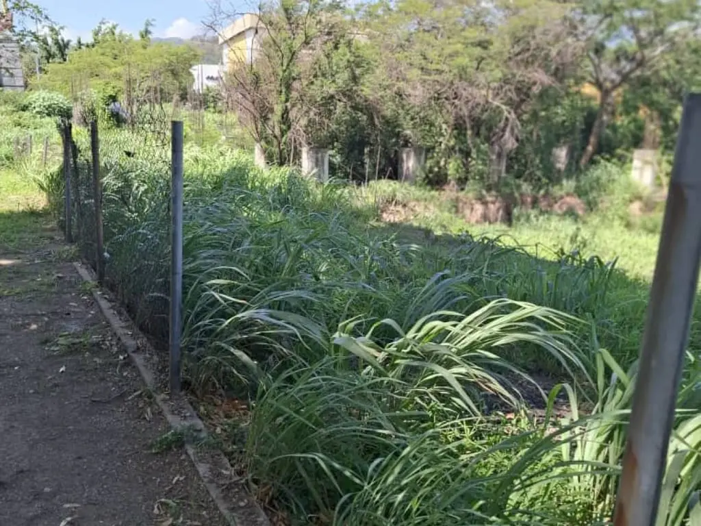 Land in La Victoria - 1