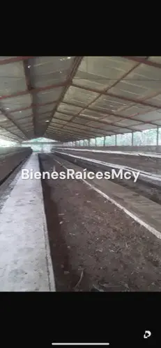 Finca en Villa de Cura – 5