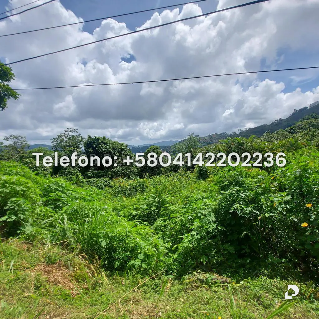 Land in Oripoto, Caracas – 6