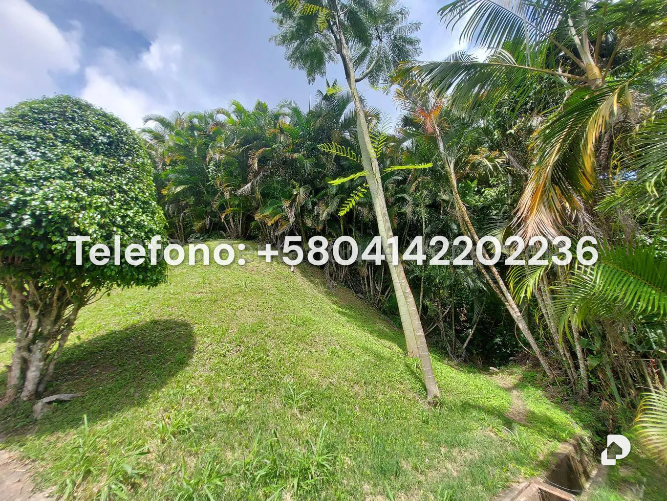 Land in Oripoto, Caracas – 9