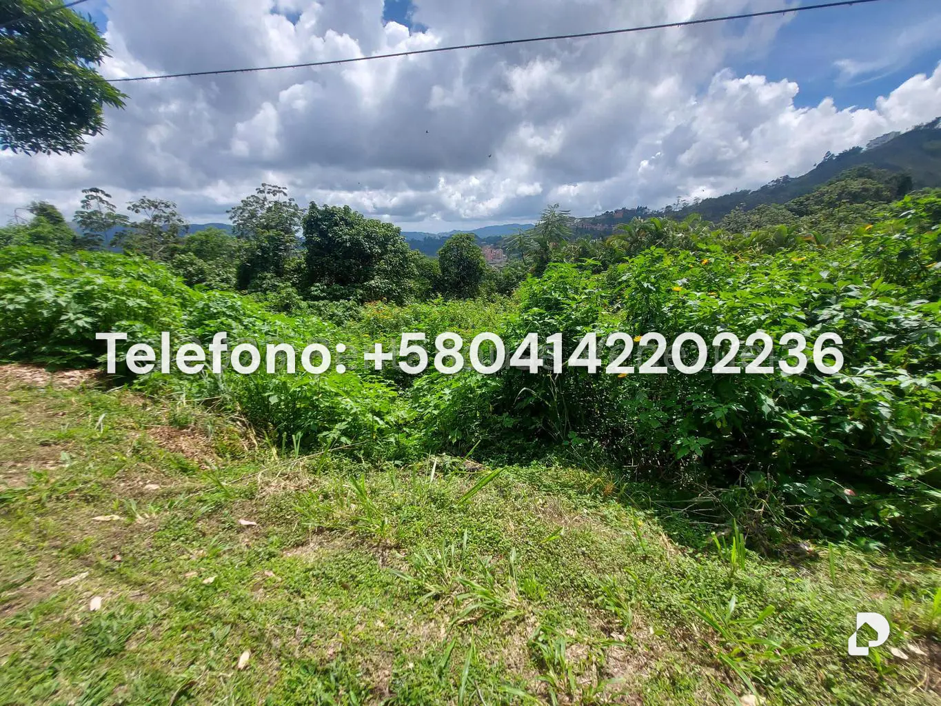Land in Oripoto, Caracas – 4
