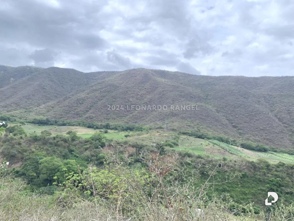 Terreno en Estánques – 1