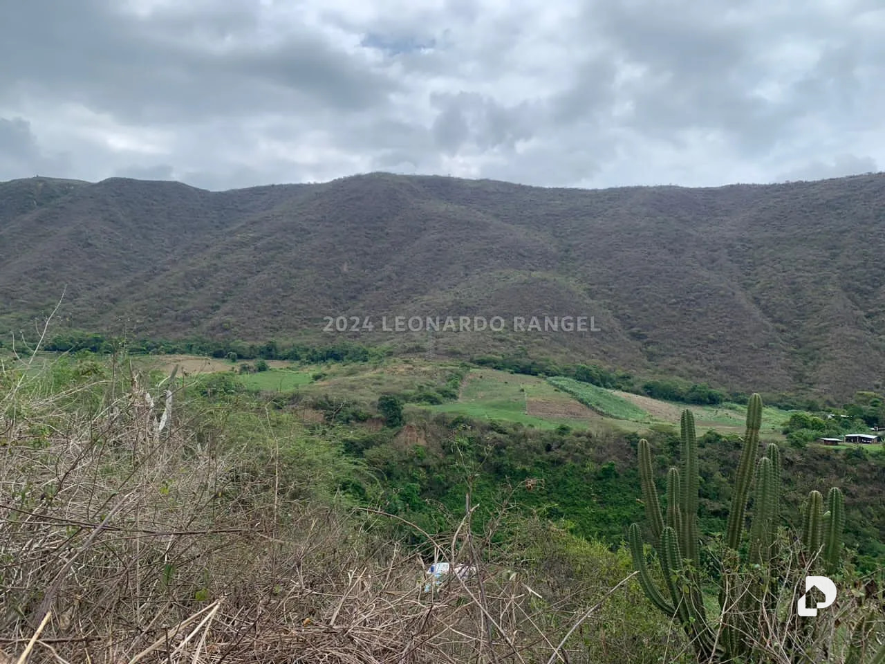 Terreno en Estánques – 7