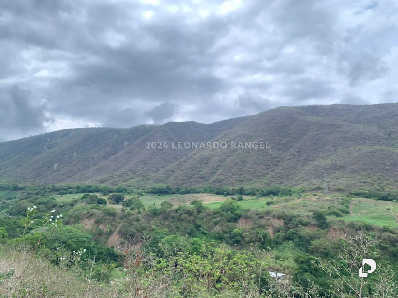 Terreno en Estánques – 9