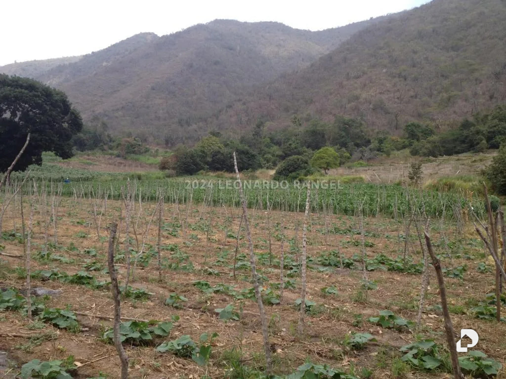 Terreno en Estánques – 4
