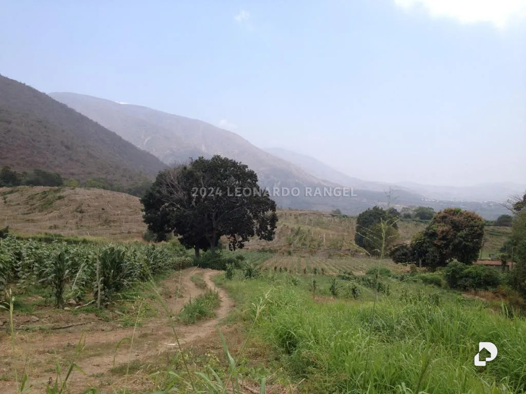 Terreno en Estánques – 5