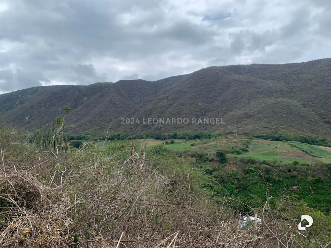 Terreno en Estánques – 8
