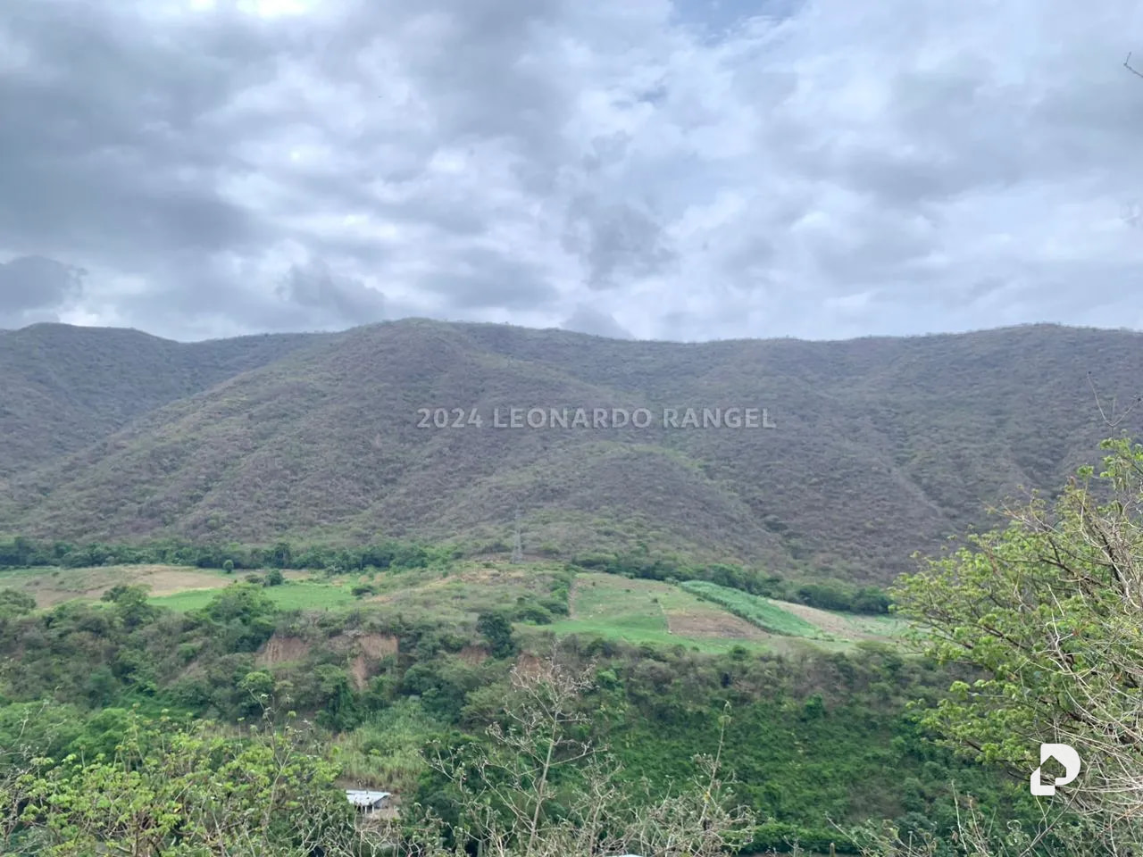 Terreno en Estánques – 10