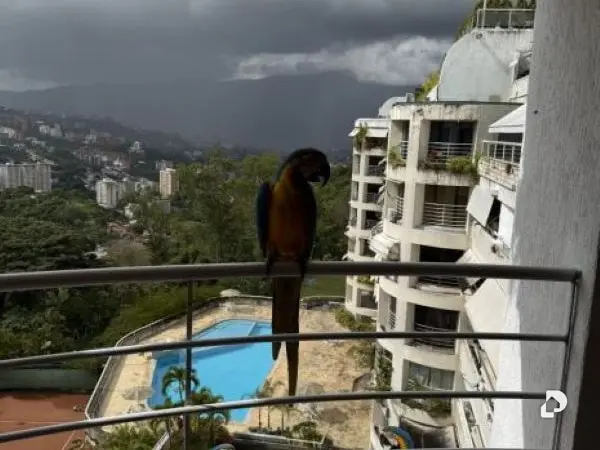 Apartamento en Los Samanes, Caracas – 25