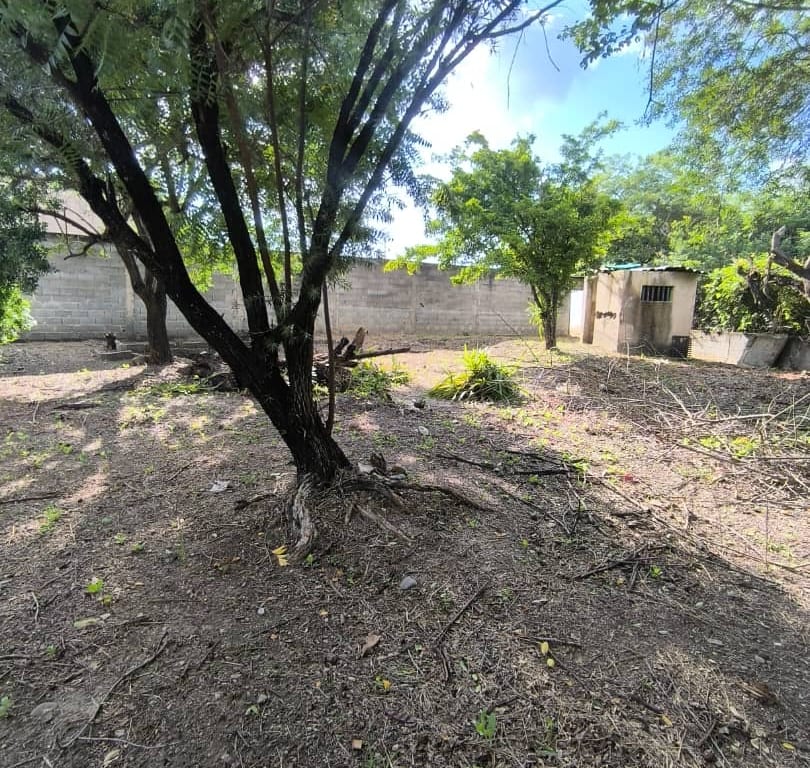 Terreno en Valle Hondo, Barquisimeto - 1