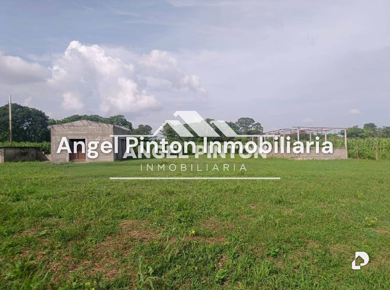 Finca en Agua Blanca, Araure – 3