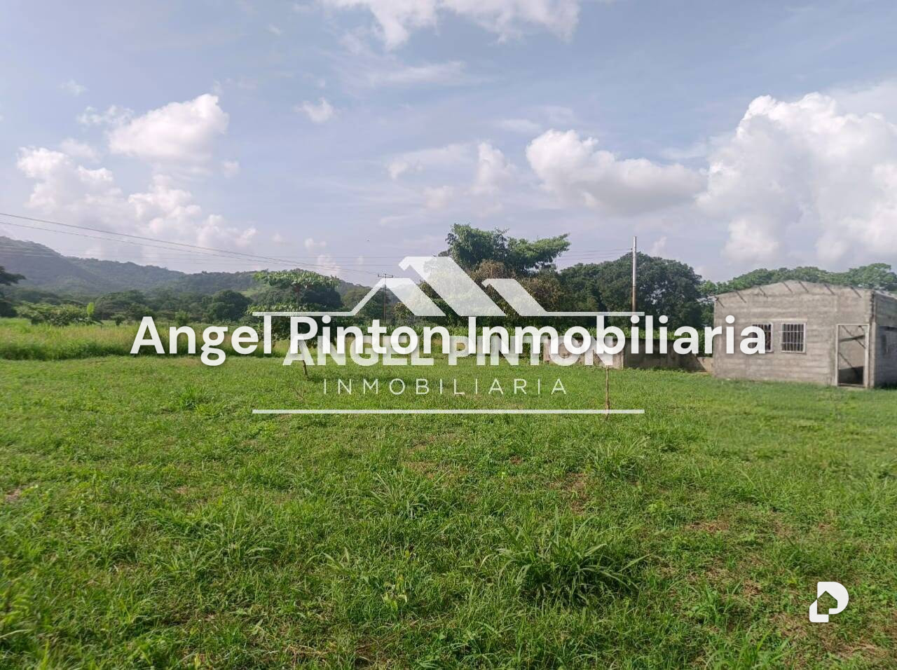 Finca en Agua Blanca, Araure – 5