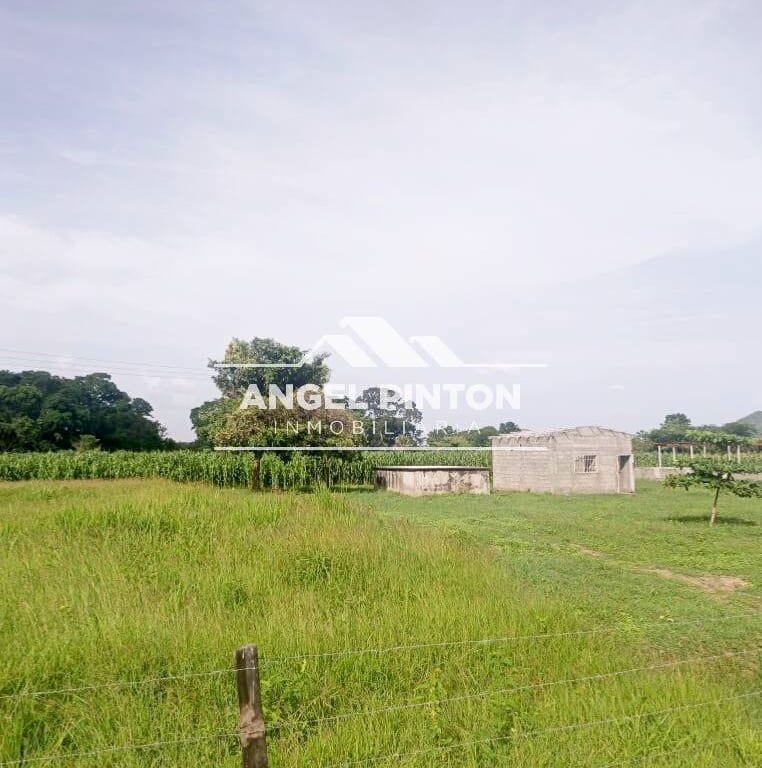 Finca en Agua Blanca, Araure - 1