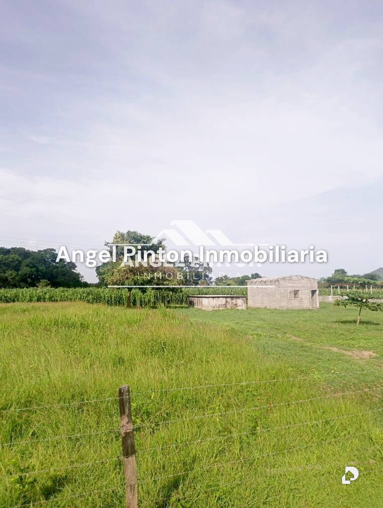 Finca en Agua Blanca, Araure – 1