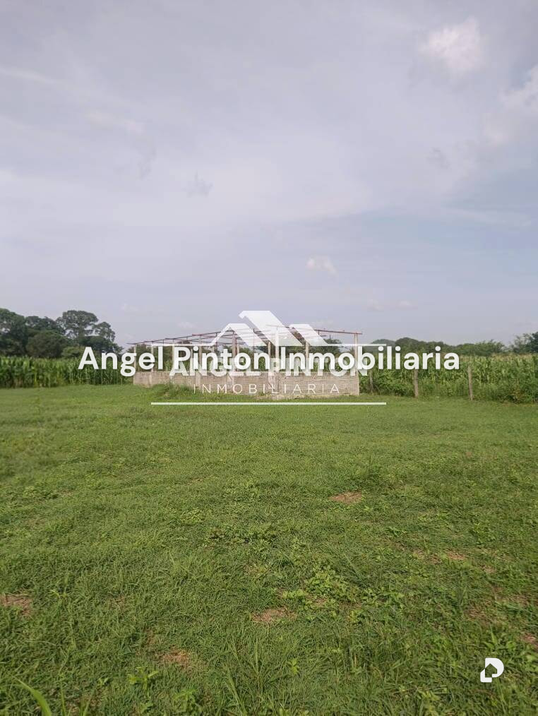Finca en Agua Blanca, Araure – 4