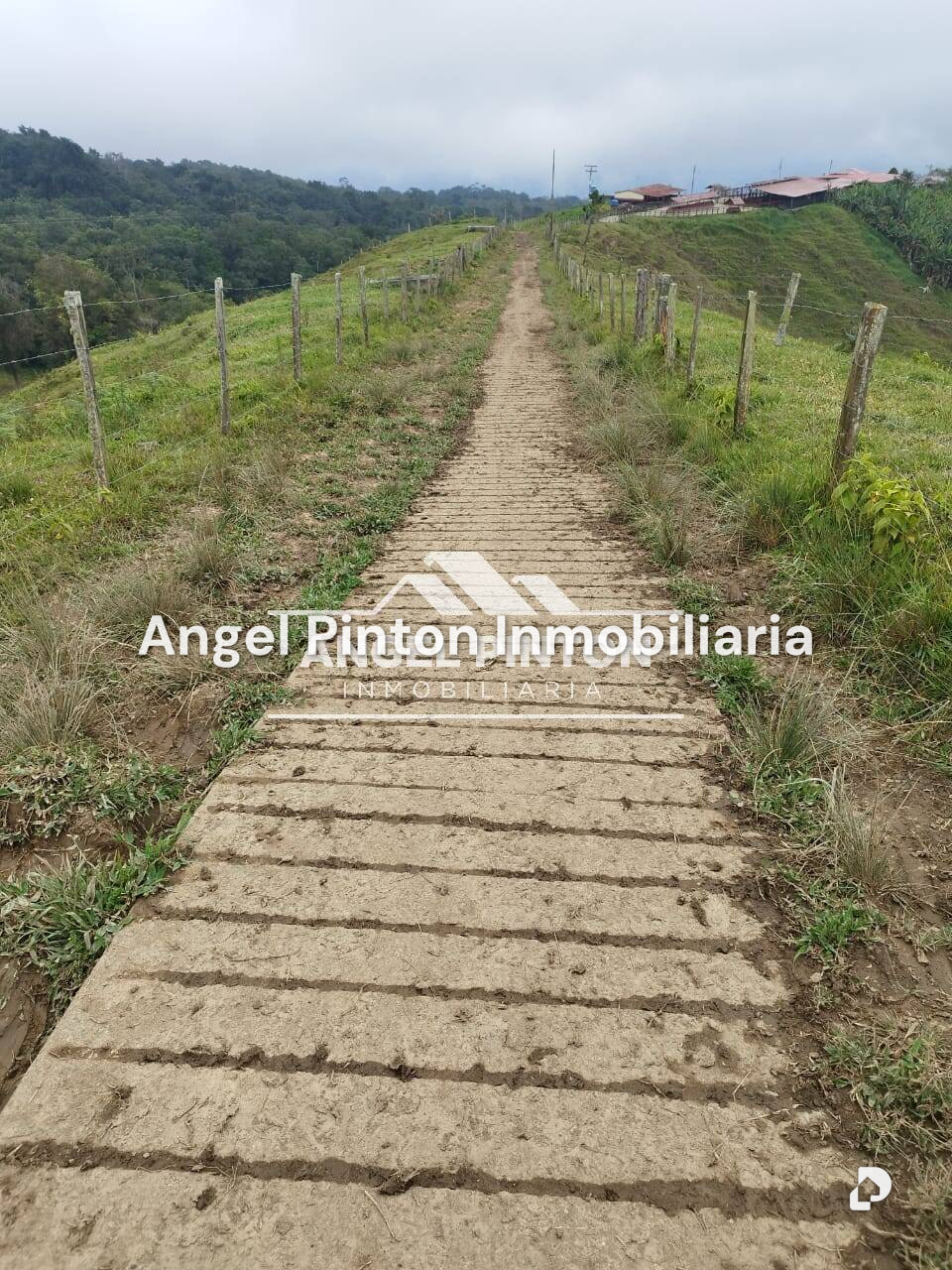 Finca en La Azulita – 9