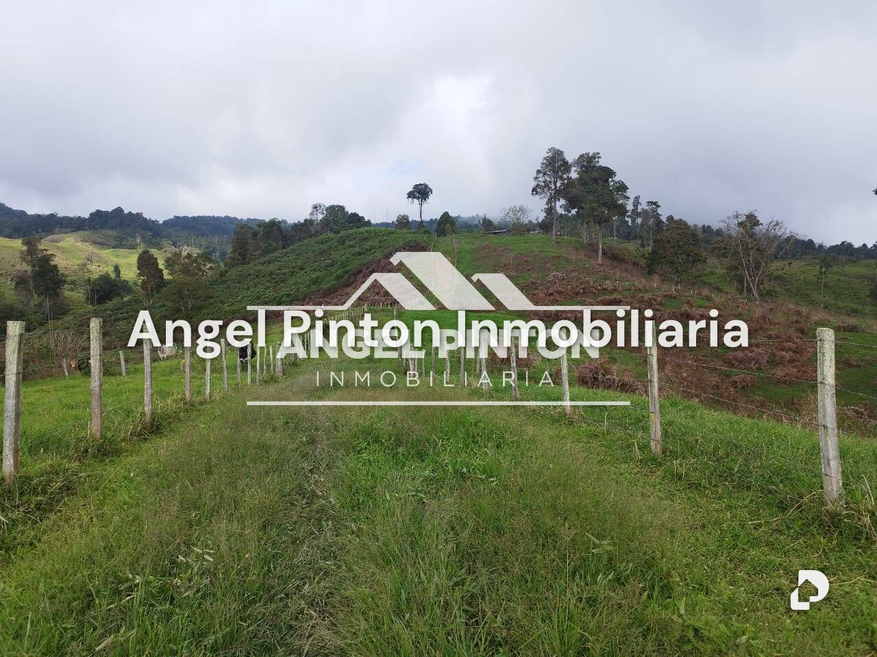 Finca en La Azulita – 10