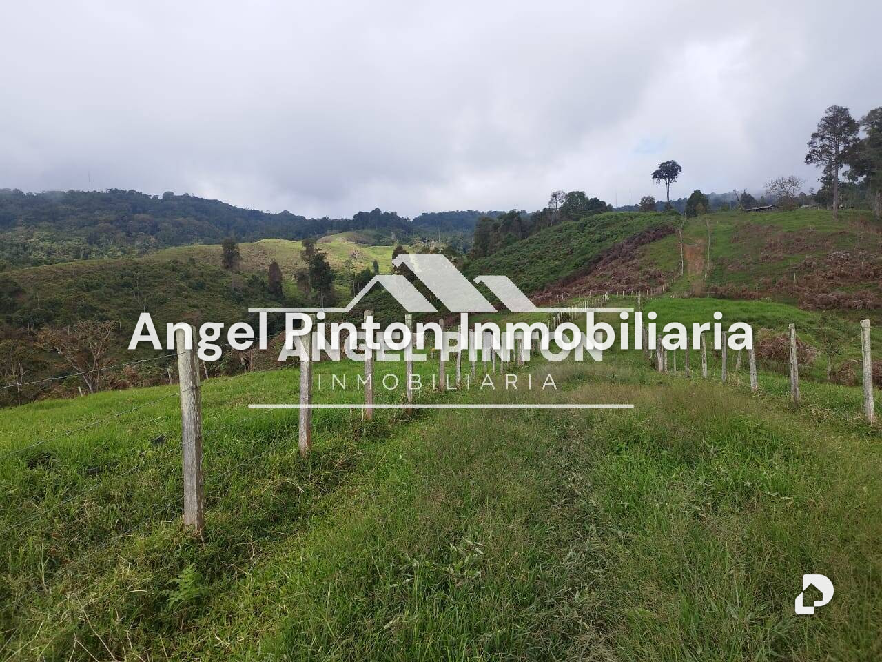 Finca en La Azulita – 6