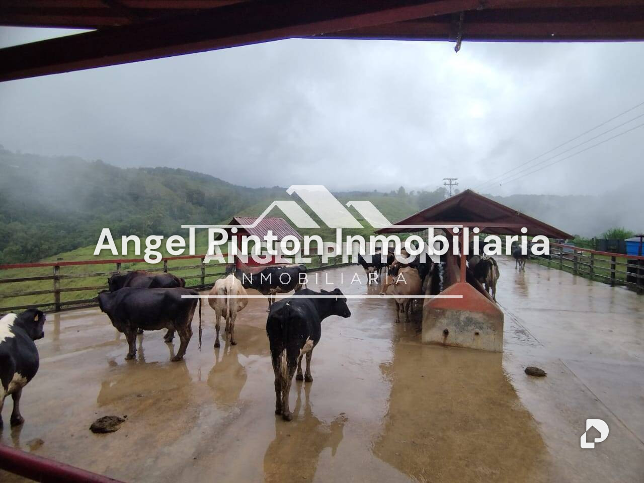 Finca en La Azulita – 7