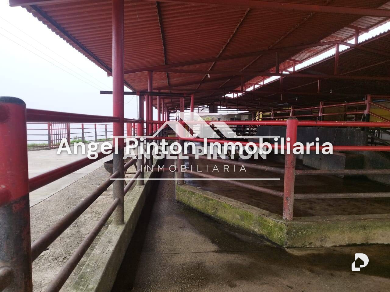 Finca en La Azulita – 16