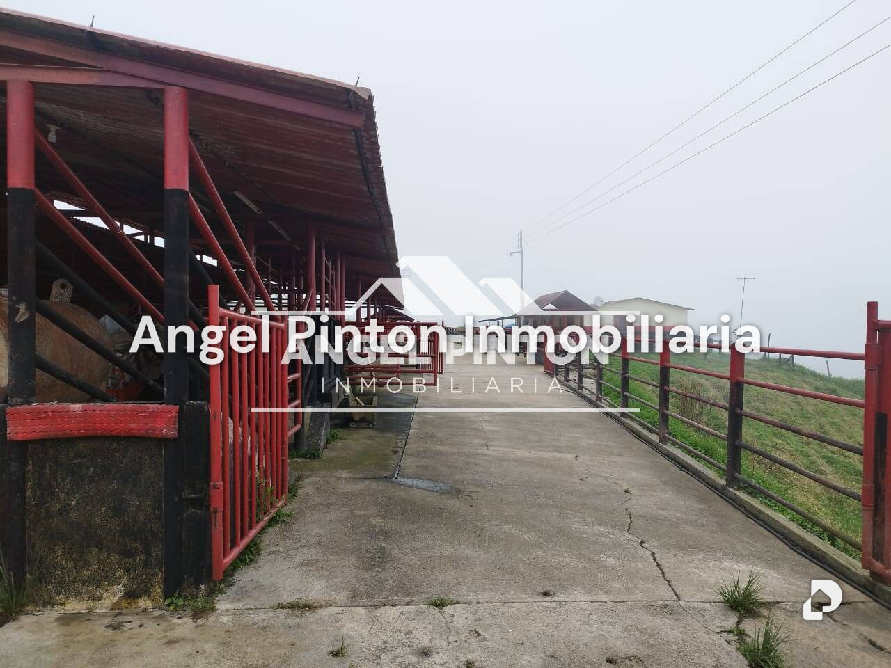 Finca en La Azulita – 13
