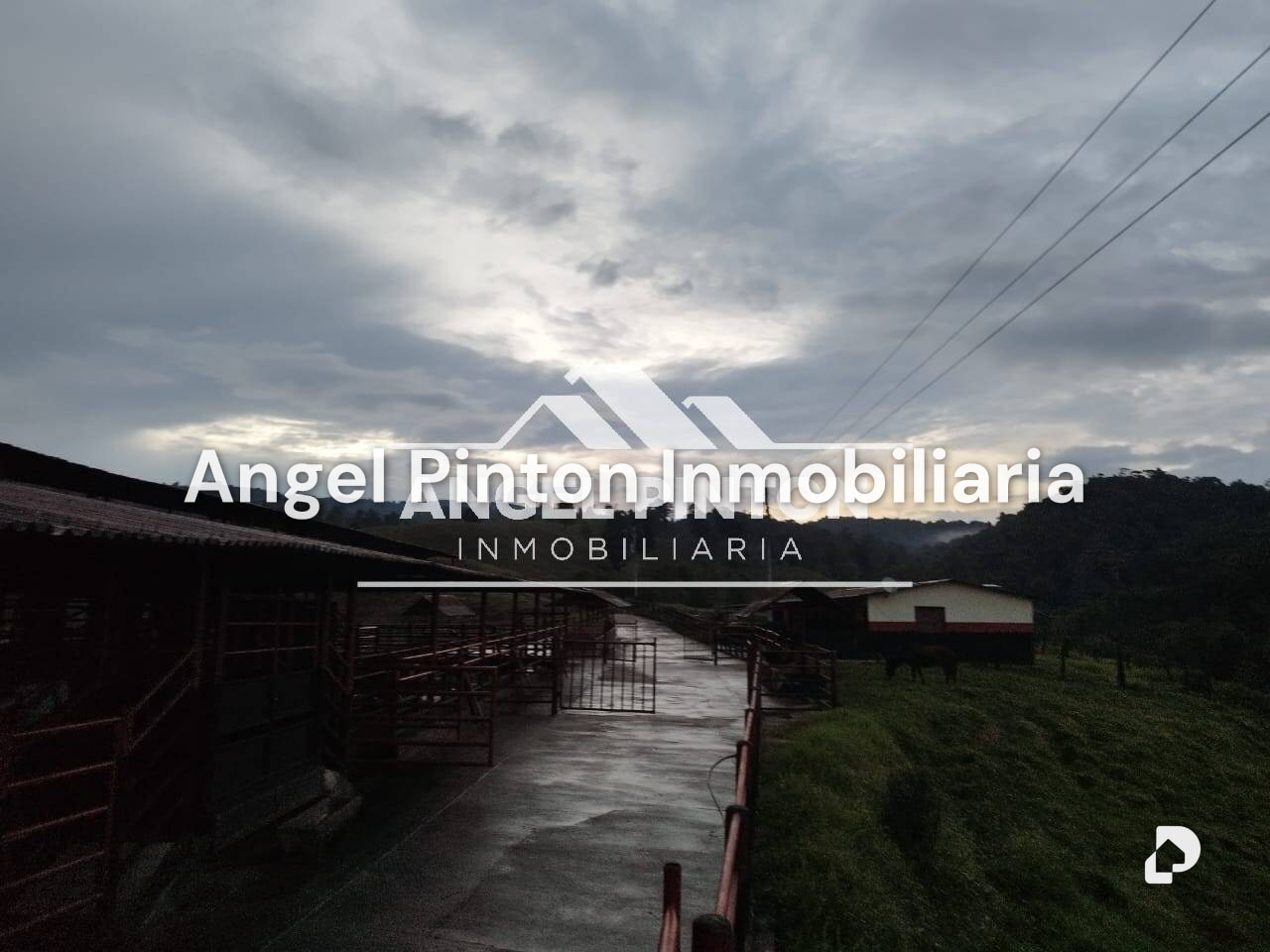 Finca en La Azulita – 29